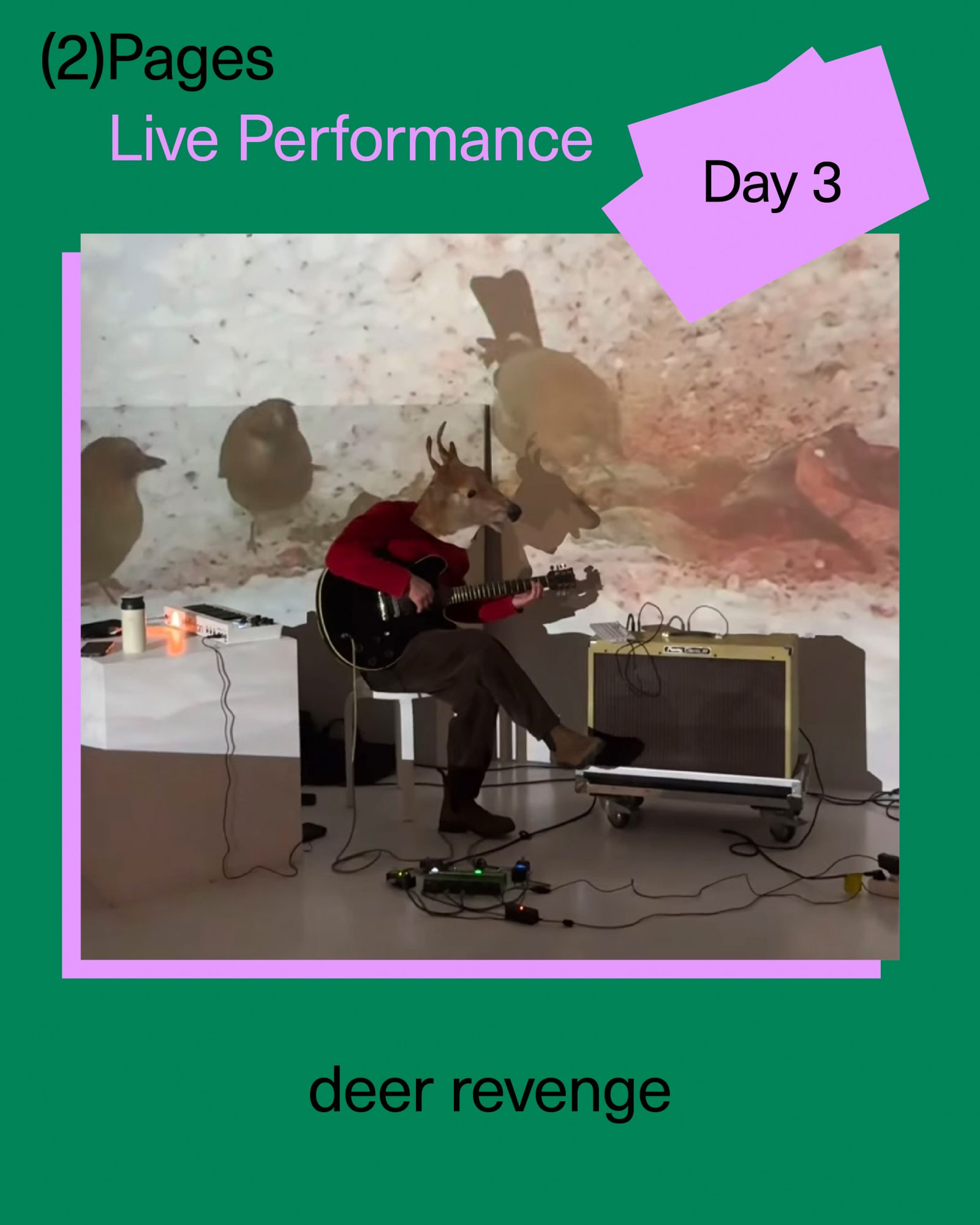 Live Performance  Deer Revenge